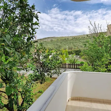 Violeta Ксамил