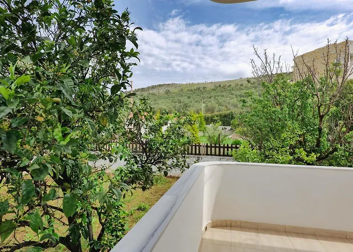 Violeta קסאמיל